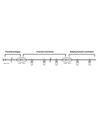 Guirlande lumineuse pour 20 ampoules E27 - 10 mètres, IP44, 230V