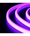 5m 11,5W/m Ruban LED COB Néon Violet - 230V, IP67 étanche, 288 LED, Sécable tous les 10cm