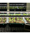 LEDlife Pro-Grow 2.0 luminaire de croissance - 90 cm, 15W LED, spectre complet, IP65