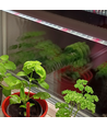 LEDlife Pro-Grow 2.0 luminaire de croissance - 90 cm, 15W LED, spectre complet, IP65