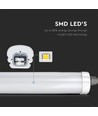 Réglette LED complète 120cm 36W étanche, câblage traversant - 4320lm, 120lm/W, IP65