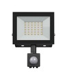 Projecteur 30W avec détecteur - IP44, noir, lampe de travail, capteur PIR