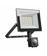 Projecteur 30W avec détecteur - IP44, noir, lampe de travail, capteur PIR