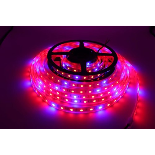 Bande LED de croissance étanche IP65 8,5W/m - 5m, 60 LED par mètre, 24V DC