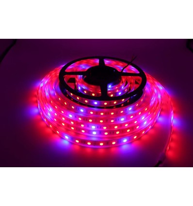 Bande LED de croissance étanche IP65 8,5W/m - 5m, 60 LED par mètre, 24V DC