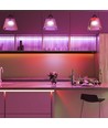 Ruban LED 5m 11W/m rouge/vert/bleu/jaune - 60 LED/m, couleur au choix