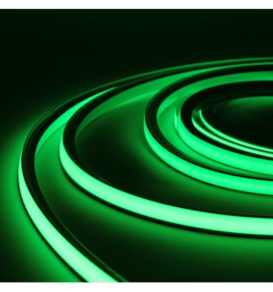 5m 8W/m AnyCut Neon Flex 10x10 Ruban LED Vert - 12V DC, sans distance de coupe