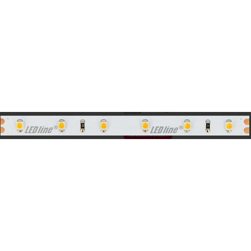 Ruban LED 5m 4,8W/m - 24V DC, 11000K, IP20, 60 LED par mètre