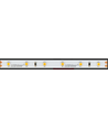 Ruban LED 5m 4,8W/m - 24V DC, 11000K, IP20, 60 LED par mètre