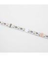 Ruban LED 5 mètres 12W/m RGB+WW - 24V DC, IP20, 60 LED par mètre
