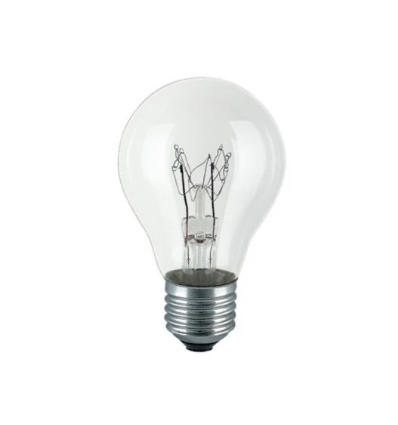Ampoule à incandescence 100W E27 claire - 1050 lm, dimmable, A55