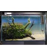 75-100 cm luminaire d'aquarium - 19W LED, blanc/bleu/rouge/vert, longueur réglable, IP66