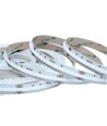 Ruban LED COB 5m 20W/m RGB+WW - 24V DC, IP20, 784 LED par mètre, COB LED