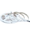 Ruban LED COB 5m 20W/m RGB+WW - 24V DC, IP20, 784 LED par mètre, COB LED
