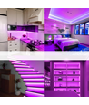 8W par mètre Violet 8x16 CLIP-ON Neon Flex LED - 24V DC, IP67