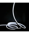Neon Flex LED Clip-On Blanc Froid 8x16 - 8W par mètre, IP67, 24V