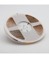 Ruban LED COB 10m 6,5W/m sans points RA95 - 24V DC, 2700K, IP20, 320 LED/m, 5 ans de garantie