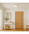 Plafonnier LED 18W dimmable - Ø22,5cm, hauteur : 3,9cm, bordure blanche