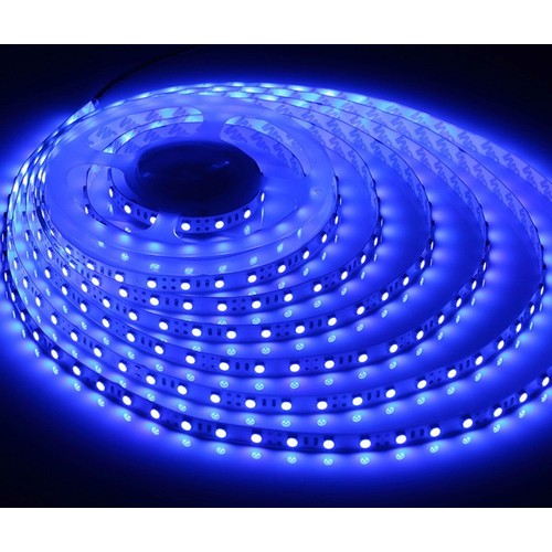 Ruban LED 5m 10W/m Bleu 450 nm - 24V DC, IP20, 120 LED par mètre