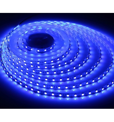 Ruban LED 5m 10W/m Bleu 450 nm - 24V DC, IP20, 120 LED par mètre
