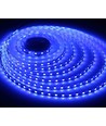 Ruban LED 5m 10W/m Bleu 450 nm - 24V DC, IP20, 120 LED par mètre