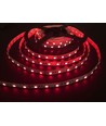 Ruban LED infrarouge 850 nm 5m 10W/m - 24V DC, IP20, 120 LED par mètre