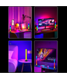 2 barres lumineuses ambiantes RGBIC - 32 cm, Bluetooth