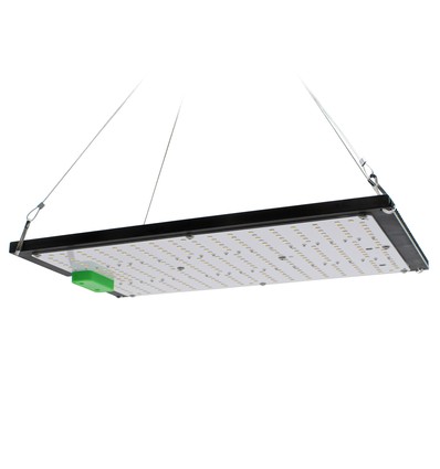 Lampe de croissance Quantum 120W - Incl. suspension, spectre complet, sans ventilateur, intensité lumineuse réglable, IP65