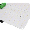Lampe de croissance Quantum 28W - Incl. suspension, spectre complet, sans ventilateur, IP65
