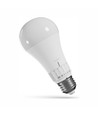 Ampoule LED E27 13W - GLS, 1500lm, 115lm/W, CCT réglable, 270 degrés
