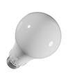 Ampoule LED E27 13W - GLS, 1500lm, 115lm/W, CCT réglable, 270 degrés