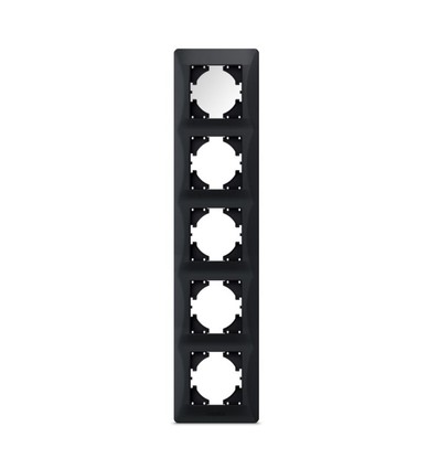 Binera plaque 5 postes verticale - Noir graphite, 86x370mm, plastique