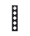 Binera plaque 5 postes verticale - Noir graphite, 86x370mm, plastique