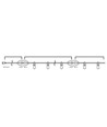 Guirlande lumineuse pour 20 ampoules E27 - 20 mètres, IP44, 230V, sans source lumineuse