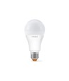 Ampoule LED E27 12W - A60, 1180lm, 6000K, flicker free