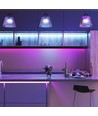 Kit ruban LED RGB 5m 7W/m - 12V DC, IP20, 60 LED par mètre
