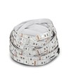 Kit ruban LED RGB 5m 7W/m - 12V DC, IP20, 60 LED par mètre