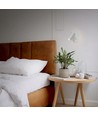 Applique murale GU10 avec 5W LED backlight - Blanc, incl. 2 interrupteurs, sans source lumineuse GU10