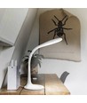 Lampe de bureau LED 5,5W dimmable - Contrôle tactile, 4000K, flicker free, blanc