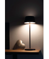 Lampe de table LED rechargeable - Marron, tactile dimmable, IP54