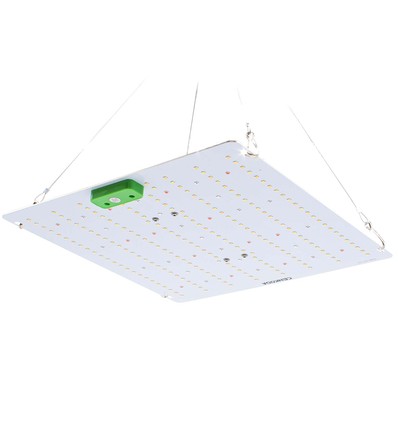 Quantum lampe de croissance 65W - Incl. suspension, spectre complet, sans ventilateur, IP65