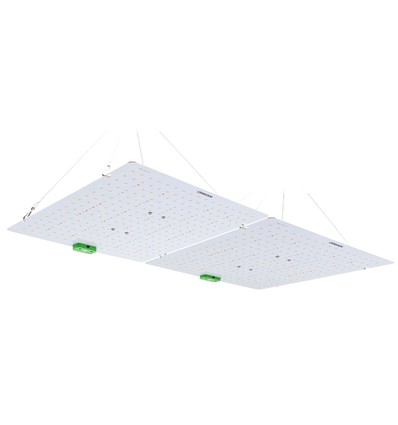 Quantum lampe de croissance 180W - Incl. suspension, spectre complet, sans ventilateur, IP65