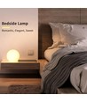 Ø8 cm boule LED RGB - Rechargeable, avec télécommande, IP66