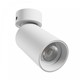 Spot mural/plafonnier GU10 - Blanc, montage en saillie, IP20, sans source lumineuse