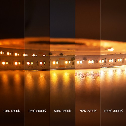 5m 17W/m Ruban LED DimToWarm RA95 - 24V, IP20, 224 LED par mètre