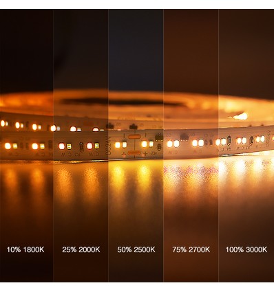 5m 17W/m Ruban LED DimToWarm RA95 - 24V, IP20, 224 LED par mètre