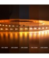 5m 17W/m Ruban LED DimToWarm RA95 - 24V, IP20, 224 LED par mètre