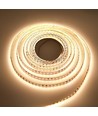5m 17W/m Ruban LED DimToWarm RA95 - 24V, IP20, 224 LED par mètre