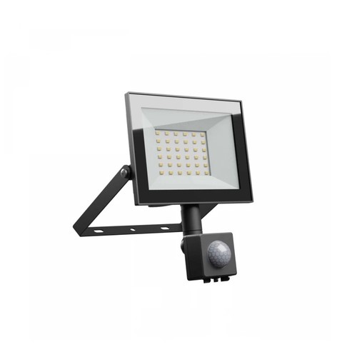 Projecteur 30W avec détecteur - IP44, noir, lampe de travail, capteur PIR