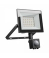 Projecteur 30W avec détecteur - IP44, noir, lampe de travail, capteur PIR